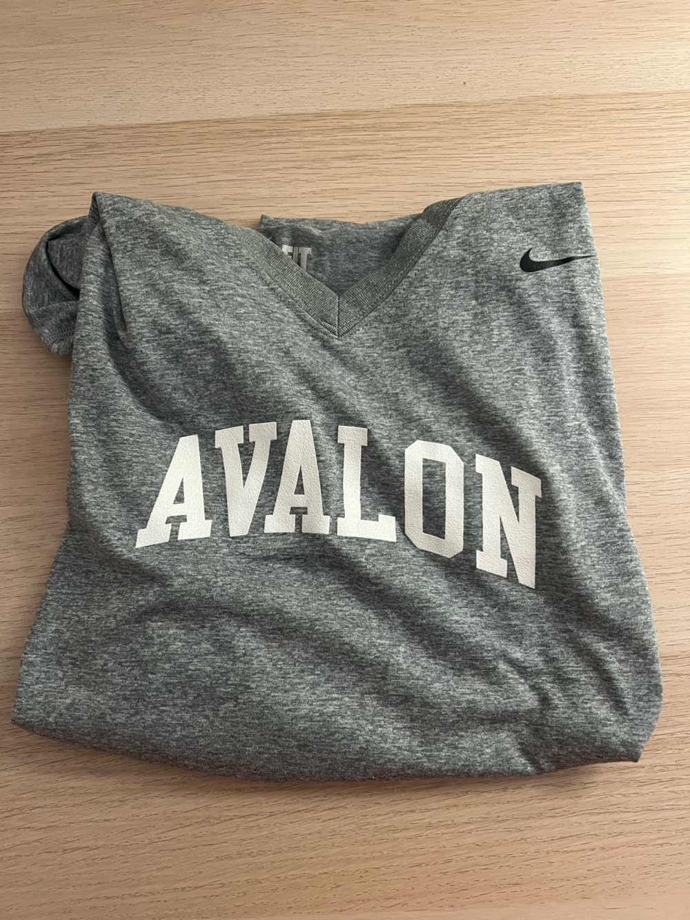 Nike Gray Dri-FIT V-Neck Performance Tee